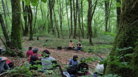 Balade Musicale avec Verdée et le Chien à Plumes Parc National de Forêts © Maïté Adam