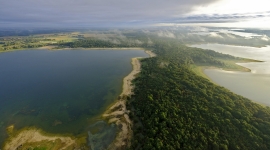 Forêt d_Orient© Pascal Bourguignon