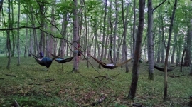 Nuit en hamac avec Histoires d’arbres © Christian Decamme